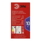 Лампа светодиодная ЭРА, A60, E27, 10 Вт, 6500 К, холодный белый 5428993