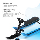 Снегокат «Тимка спорт», ТСЛ/Ч2 - Фото 3