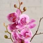 Композиция в горшочке "Орхидея" 9х35 см, микс - фото 24350408