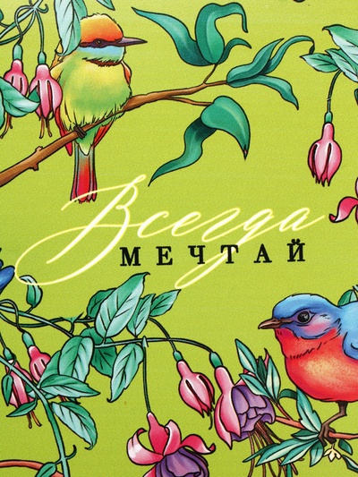 Ланч - бокс прямоугольный «Мечтай», 1200 мл
