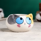 Декоративный горшок для цветов «Котёнок», 200 мл, 8.7×5.8×6 см, керамика, МИКС, Greengo - Фото 9