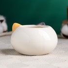 Декоративный горшок для цветов «Котёнок», 200 мл, 8.7×5.8×6 см, керамика, МИКС, Greengo - Фото 10