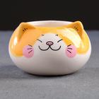 Декоративный горшок для цветов «Котёнок», 200 мл, 8.7×5.8×6 см, керамика, МИКС, Greengo - Фото 14