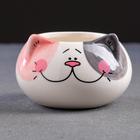 Декоративный горшок для цветов «Котёнок», 200 мл, 8.7×5.8×6 см, керамика, МИКС, Greengo - Фото 15