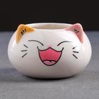 Декоративный горшок для цветов «Котёнок», 200 мл, 8.7×5.8×6 см, керамика, МИКС, Greengo - Фото 17