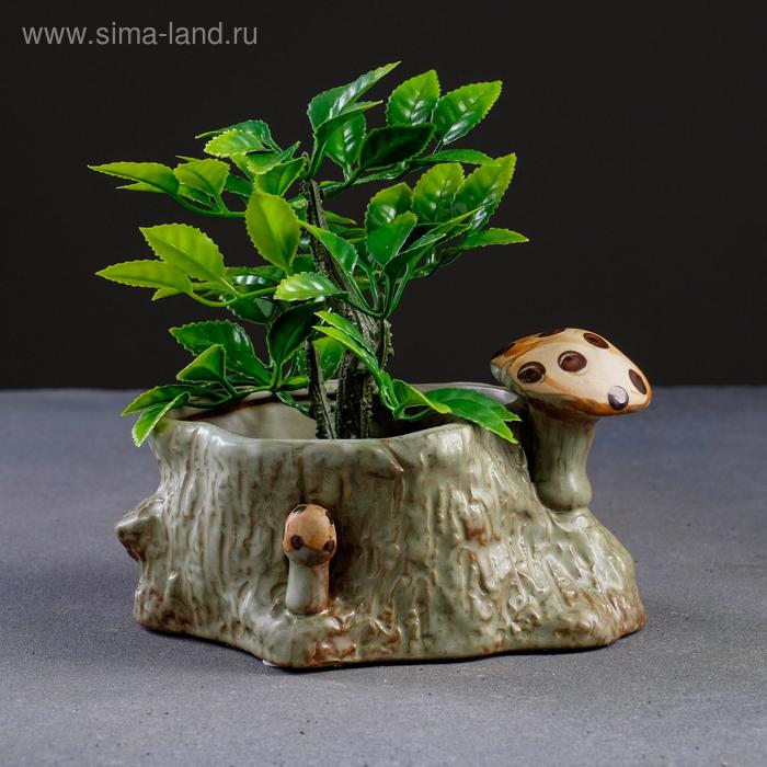 Кашпо "Пень с грибами" 15*12*8см - Фото 1