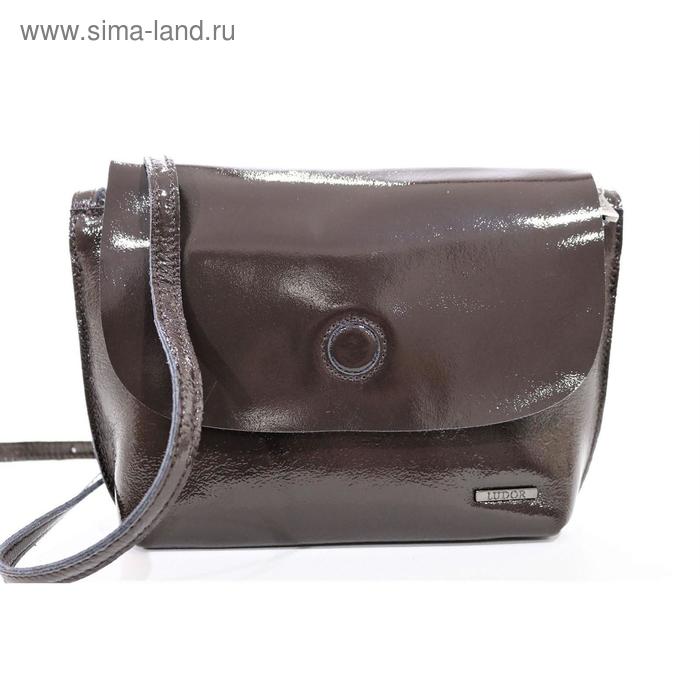 275-58 286 Женская сумка кожаная Ludor Коричневый - Фото 1