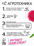 Семена  Астра Гремлин, смесь окрасок, 0,2 г 4657692