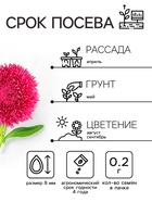 Семена  Астра Гремлин, смесь окрасок, 0,2 г (комплект 2 шт) - фото 31535084