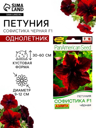 Семена цветов Петуния «Софистика черная» F1, крупноцветковая, 4 шт.