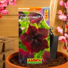 Семена Петуния Софистика черная F1 крупноцветковая, 4 шт., - Фото 3