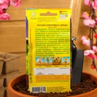 Семена Петуния Софистика черная F1 крупноцветковая, 4 шт., - Фото 4