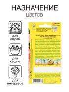 Семена цветов Пеларгония "Дансер Тауэр", смесь окрасок, F2, 5 шт. - Фото 3
