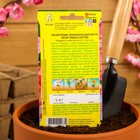 Семена цветов Пеларгония "Дансер Тауэр", смесь окрасок, F2, 5 шт. - фото 8971337