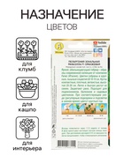 Семена цветов Пеларгония "Рафаэлла", оранжевая, F1, 5 шт - Фото 3