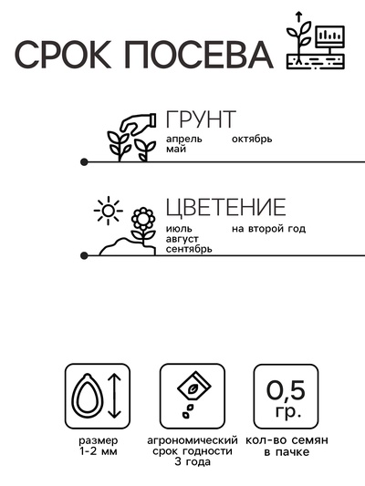 Семена цветов Нивяник "Гигант", крупноцветковый, Ц/П, 0,5 г