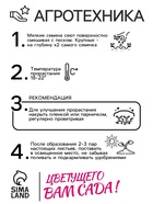 Семена цветов Нивяник "Крейзи Дейзи", махровый, Ц/П, 0,03 г г - Фото 4