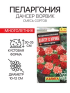 Семена цветов Пеларгония "Дансер Ворвик", смесь окрасок, F2, 5 шт. - Фото 1