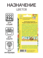 Семена цветов Пеларгония "Дансер Ворвик", смесь окрасок, F2, 5 шт. - Фото 3