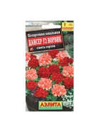 Семена цветов Пеларгония "Дансер Ворвик", смесь окрасок, F2, 5 шт. - Фото 5