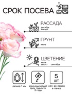 Семена цветов Эустома «Эйбиси роуз рим», F1, крупноцветковая махровая, 5 шт., однолетник, «Аэлита» селекция PanAmerican Seed - Фото 2