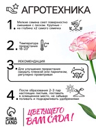 Семена цветов Эустома «Эйбиси роуз рим», F1, крупноцветковая махровая, 5 шт., однолетник, «Аэлита» селекция PanAmerican Seed - Фото 4