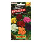 Семена цветов Примула "Розелла", смесь окрасок, F1, 7 шт - Фото 3