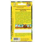 Семена цветов Примула "Розелла", смесь окрасок, F1, 7 шт - Фото 4