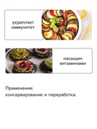 Семена Баклажан «Универсал 6», 0.1 г, «Аэлита» - Фото 3