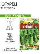 Семена Огурец "Кустовой" "Лидер", 20 шт, - Фото 1