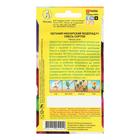 Семена Цветов Петуния Ниагарский водопад F1 обильноцветущая, смесь окрасок, 10шт - Фото 2