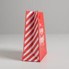 Пакет ламинированный вертикальный «Подарок от Деда Мороза», S 12 × 15 × 5.5 см - Фото 2