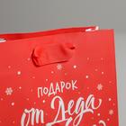 Пакет ламинированный вертикальный «Подарок от Деда Мороза», S 12 × 15 × 5.5 см - Фото 3