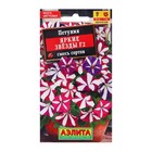 Семена Петуния "Яркие звезды", F2, многоцветковая, смесь сортов, 0,02 г - Фото 1