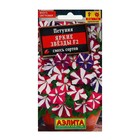 Семена Петуния "Яркие звезды", F2, многоцветковая, смесь сортов, 0,02 г - Фото 3