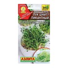 Семена Микрозелень Лук шнитт "Пикантный", 2 г - Фото 1