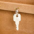 Ключница настенная «Цветы в горшке - Love», голубая, панно, 26×19.5×5.5 см 5156495