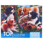 Пазлы «Щенки спаниеля в саду», 500 элементов 5422860