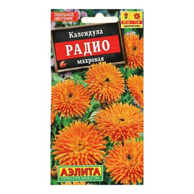 Семена цветов Календула «Радио» махровая, 0.5 г, однолетник, «Аэлита»