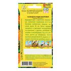 Семена Календула Радио махровая, 0,5 г - Фото 2