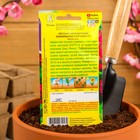 Семена цветов Фриллитуния Бразильский карнавал F1 бахромчатая, 10 шт - Фото 4