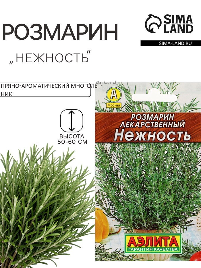 Семена Розмарин «Нежность», 0.03 г, «Аэлита» - Фото 1
