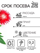 Семена Астра Ажурная россыпь, смесь окрасок , 0,2г - Фото 2
