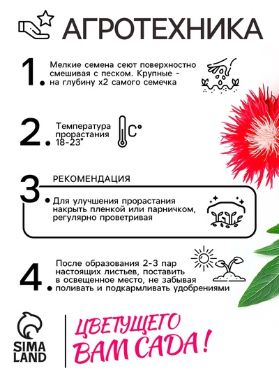 Семена цветов Астра «Ажурная россыпь», смесь окрасок, 0.2 г, однолетник, «Аэлита»