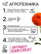 Семена цветов Астра «Монпансье», смесь окрасок, 0.2 г, однолетник, «Аэлита» - Фото 4