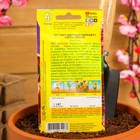 Семена цветов Петуния «Цветущий каскад», F1, смесь сортов, 5 шт., однолетник, «Аэлита» - Фото 4