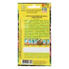 Семена цветов Шток-роза «Индийская весна», смесь сортов, 0.3 г, однолетник, «Аэлита» - Фото 6