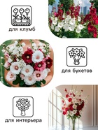 Семена цветов Шток-роза «Индийская весна», смесь сортов, 0.3 г, однолетник, «Аэлита» - Фото 3