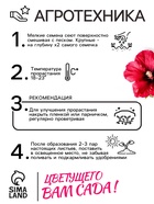 Семена цветов Шток-роза «Индийская весна», смесь сортов, 0.3 г, однолетник, «Аэлита» - Фото 4