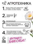 Семена Эустома "Сапфир" F1 белая крупноцветковая , 5шт - Фото 4